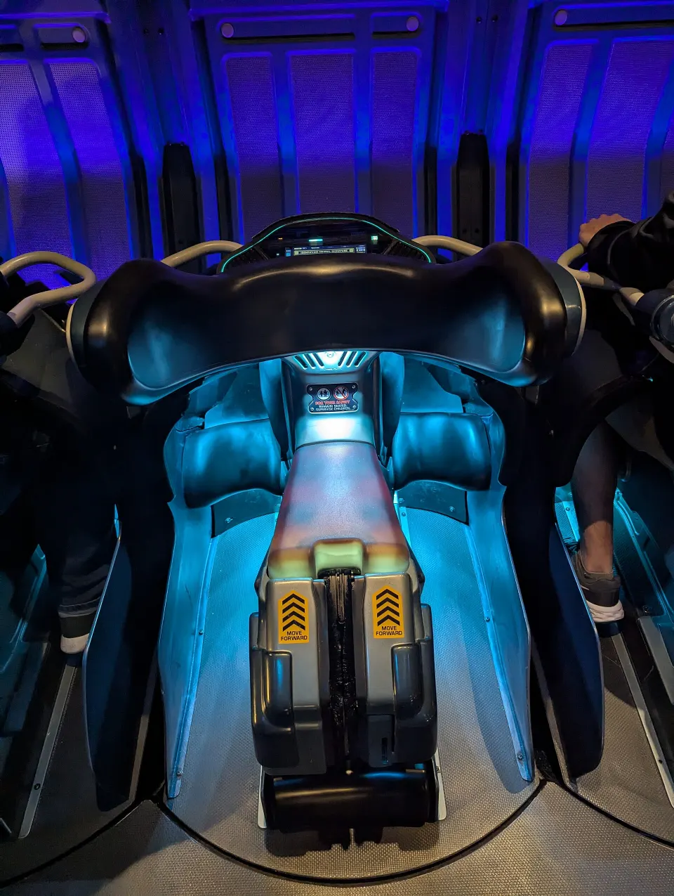 Detalhes internos da atração Avatar Flight of Passage